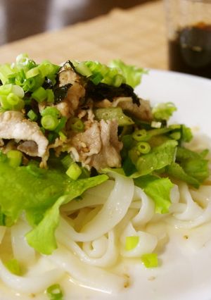 冷しゃぶうどん-レシピのメイン写真