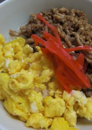 簡単・そぼろ丼-レシピのメイン写真