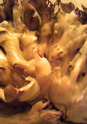 舞茸とチーズと昆布茶のオーブン焼き-レシピのメイン写真