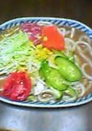 サラダうどん☆-レシピのメイン写真