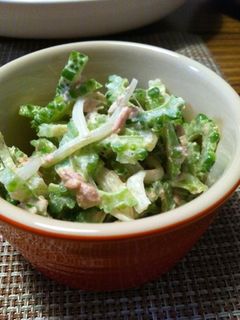 ゴーヤの簡単サラダ-レシピのメイン写真