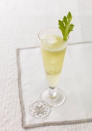 ファイバーカクテル-レシピのメイン写真