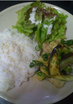 蒸し鶏のネギポン酢かけ-レシピのメイン写真