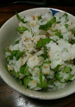 大葉ごはん-レシピのメイン写真