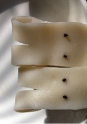 お弁当に☆ウサギちゃんかまぼこ-レシピのメイン写真