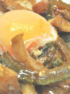 ゴーヤと厚揚げの八丁味噌チャンプルー♪-レシピのメイン写真