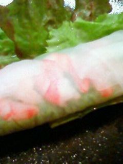 カンタン生春巻き-レシピのメイン写真