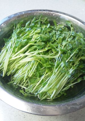 豆苗の保存法-レシピのメイン写真