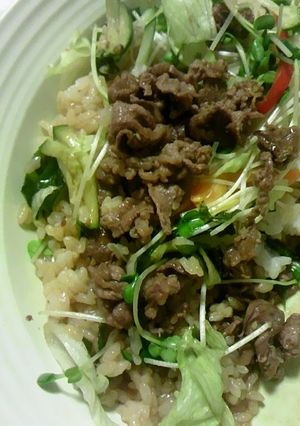 焼き肉サラダ丼-レシピのメイン写真