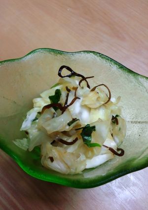 キャベツと塩昆布の浅漬け-レシピのメイン写真