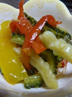 ほろ苦いゴーヤの炒め物～♪-レシピのメイン写真
