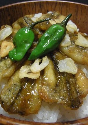 ハゼスタミナ丼　夏一押し丼ぶり！-レシピのメイン写真