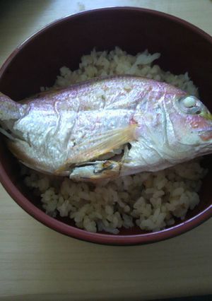 ずぼらさんでも簡単!!鯛飯☆-レシピのメイン写真