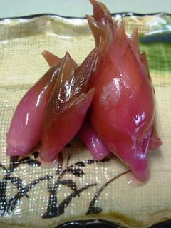 みょうがの甘酢漬け-レシピのメイン写真