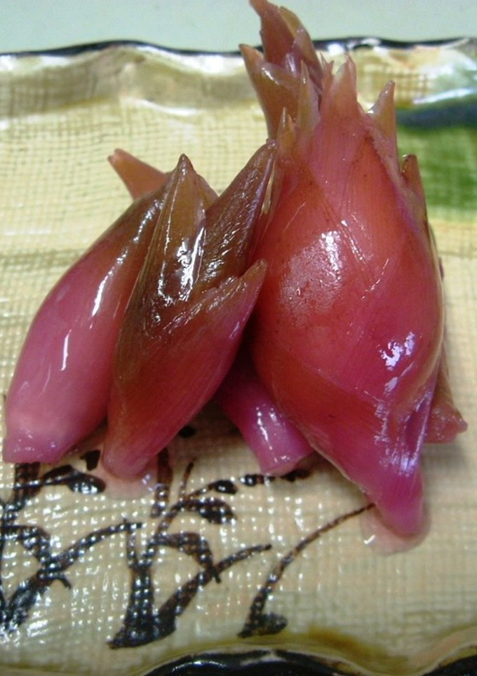 みょうがの甘酢漬け-レシピのメイン写真