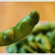 枝豆の美味しいゆで方