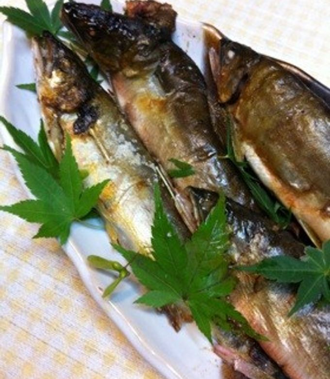 あゆの塩焼きさま確認ページ♡ 楽天市場】ギフト 鮎 塩焼き あゆの塩焼き 《 5尾 セット