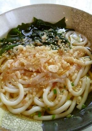 うちの子仕様★超簡単本格うどん★アメリカ-レシピのメイン写真