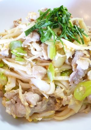 豚ネギ焼きうどん(o^-')b-レシピのメイン写真