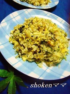 残りご飯de野沢菜チャーハン♪-レシピのメイン写真