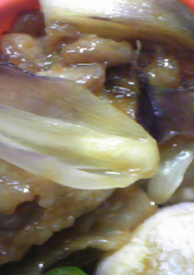 お弁当に　みょうがと豚肉の炒めもの-レシピのメイン写真