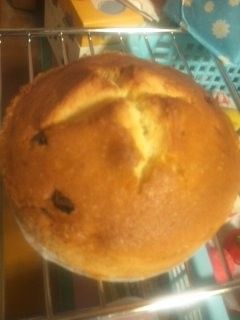 まるいパウンドケーキ-レシピのメイン写真