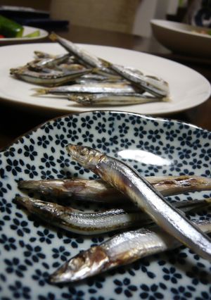 冷蔵庫でつくる◆きびなご一夜干し◆-レシピのメイン写真