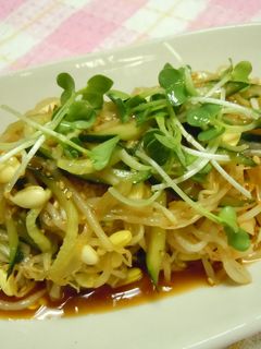 豆もやしの和え物-レシピのメイン写真