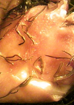 豚耳(ミミガー)の醤油みりん酒昆布生姜煮-レシピのメイン写真