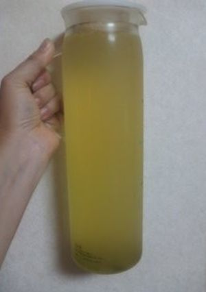 家庭で出来る生茶-レシピのメイン写真