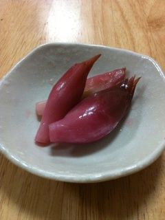 みょうがの甘酢漬け-レシピのメイン写真