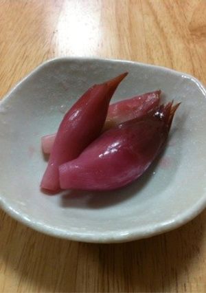 みょうがの甘酢漬け-レシピのメイン写真