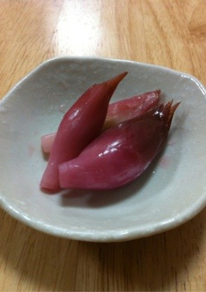 みょうがの甘酢漬け-レシピのメイン写真
