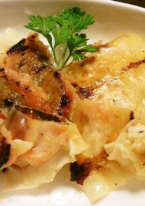 簡単QP具のソースで手作りイタリアン餃子-レシピのメイン写真