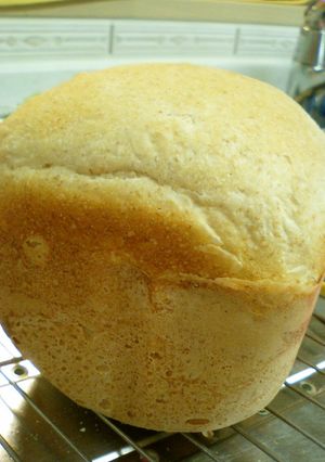 ホシノとはるゆたかブレンドのライ麦パン-レシピのメイン写真