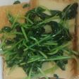 いつもはほうれん草だけど豆苗の煮びたし