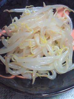 もやしのナムル-レシピのメイン写真