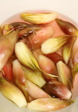 みょうがの甘酢～やさしいお酢～-レシピのメイン写真