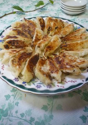 鶏ミンチとキャベツのタルタル餃子-レシピのメイン写真