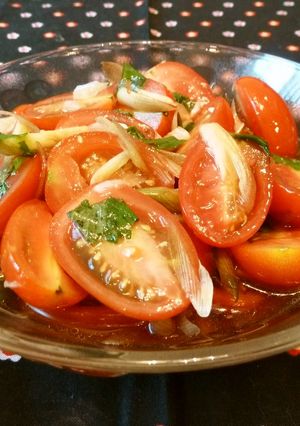 冷え冷えで！トマトとミョウガのぽん酢和え-レシピのメイン写真