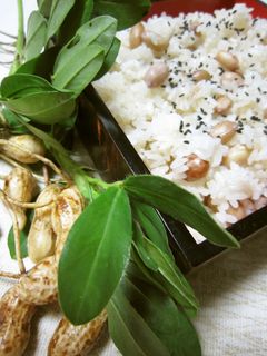 秋の味♪落花生おこわ-レシピのメイン写真