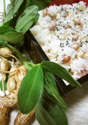 秋の味♪落花生おこわ-レシピのメイン写真