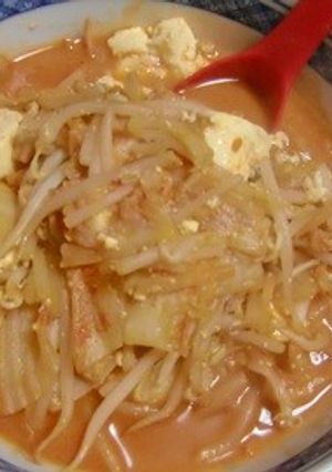 キムチみそ味で、豆腐ともやしを味つけ-レシピのメイン写真