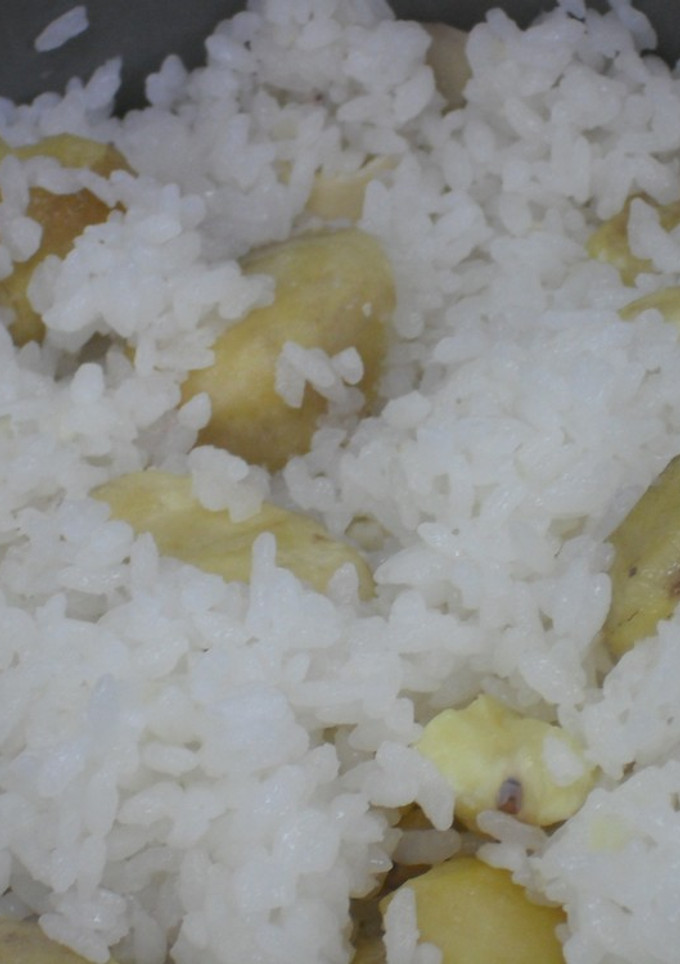 簡単♪　とってもシンプルな栗ご飯-レシピのメイン写真