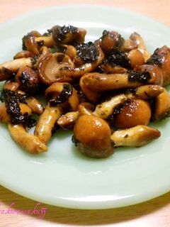 海苔入り〜☆きのこのバター醤油炒め♪-レシピのメイン写真