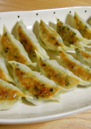 ほとんど野菜のヘルシー餃子✿-レシピのメイン写真