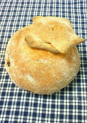 トマト×トマト×トマトパン-レシピのメイン写真