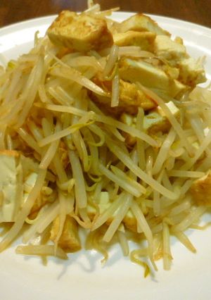 もやしと厚揚げの炒め物-レシピのメイン写真
