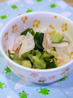 酢と塩でこんなにおいしい!簡単浅漬け-レシピのメイン写真