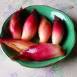 簡単みょうがの甘酢漬け